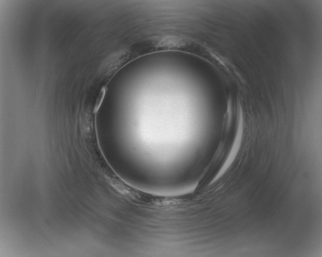 X0000082160517200701191245