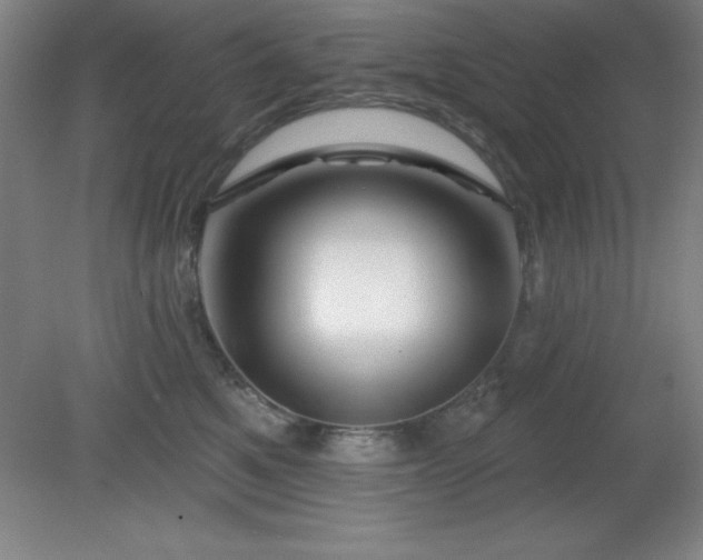 X0000082160521200701191245