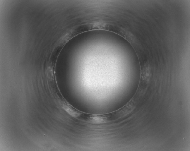 X0000082160522200701191245