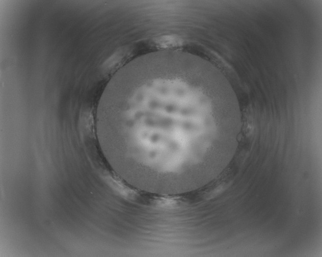 X0000082160523200701191245