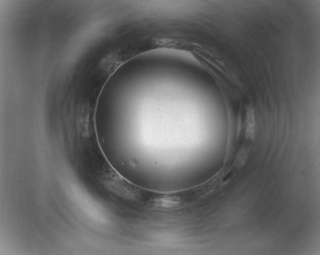 X0000082160525200701191245