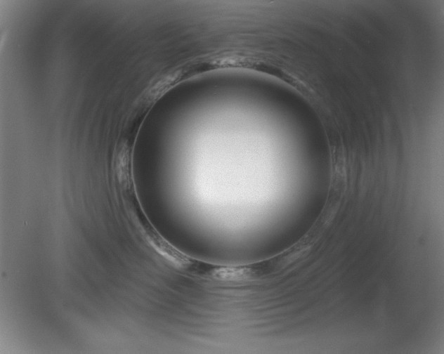 X0000082160526200701191245