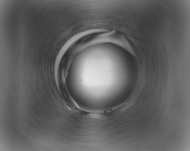 X0000082160528200701191245