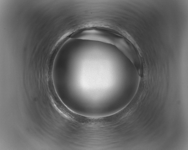 X0000082160530200701191244