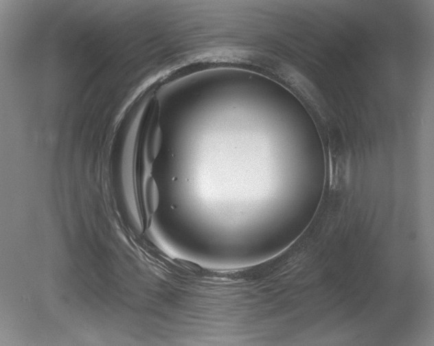 X0000082160531200701191244