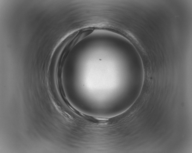 X0000082160532200701191244