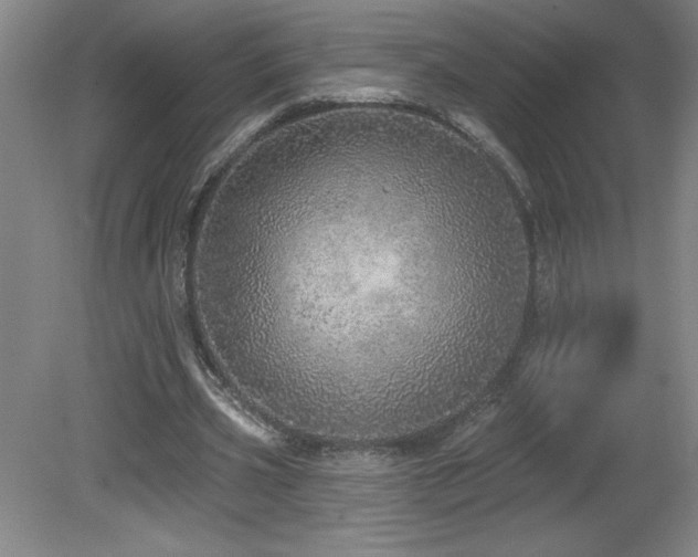 X0000082160533200701191244