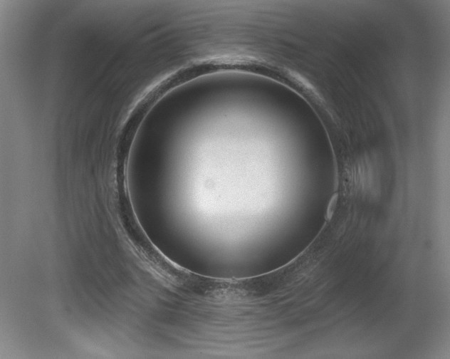 X0000082160535200701191244