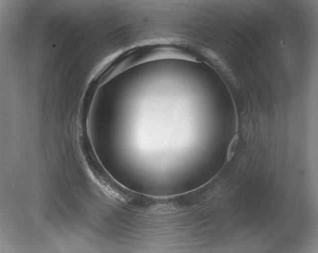 X0000082160536200701191244
