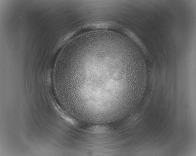 X0000082160537200701191244
