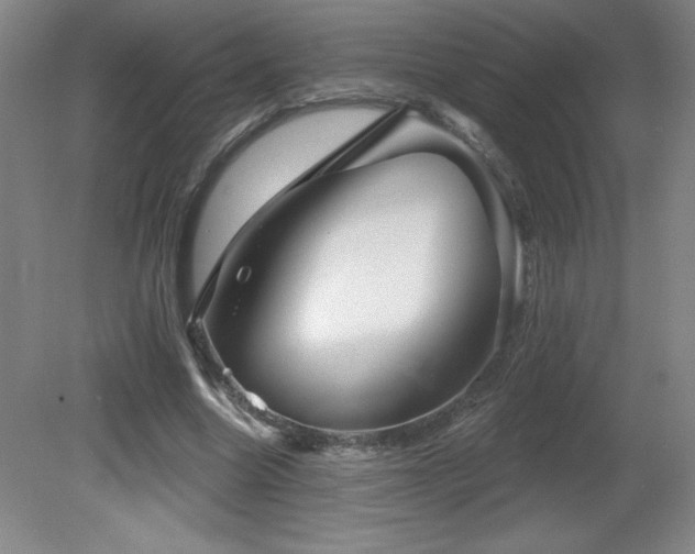 X0000082160538200701191244