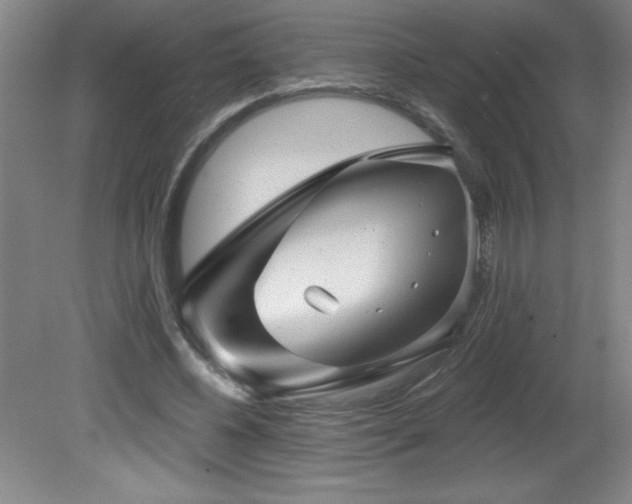 X0000082160540200701191244