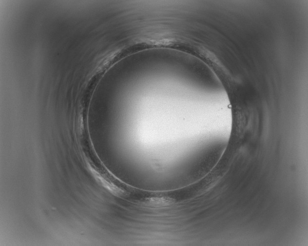X0000082160541200701191244