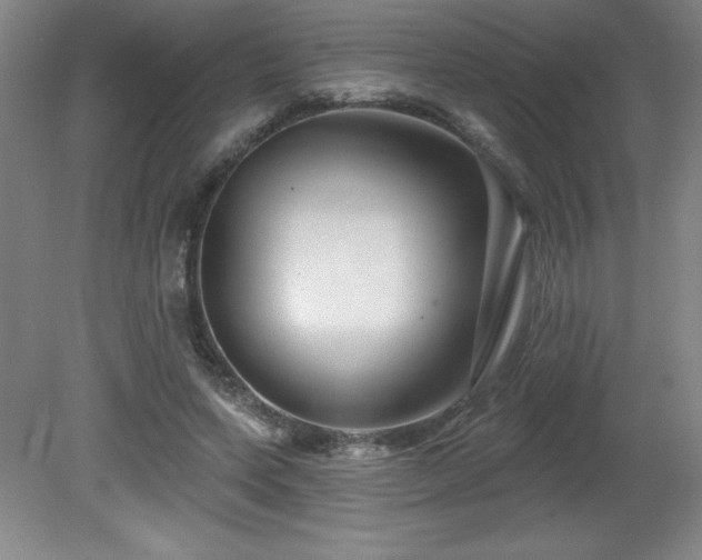X0000082160543200701191244