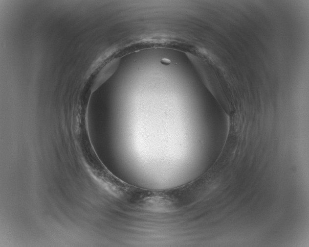 X0000082160544200701191244