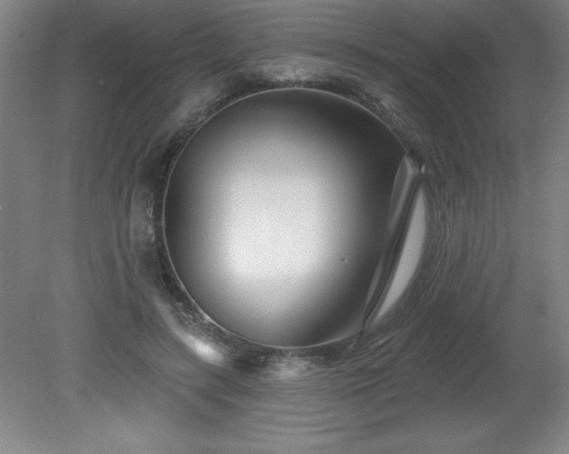 X0000082160547200701191244