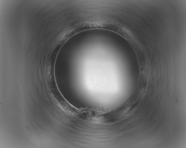 X0000082160548200701191244