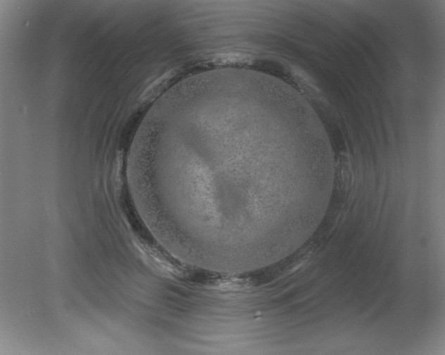X0000082160550200701191244