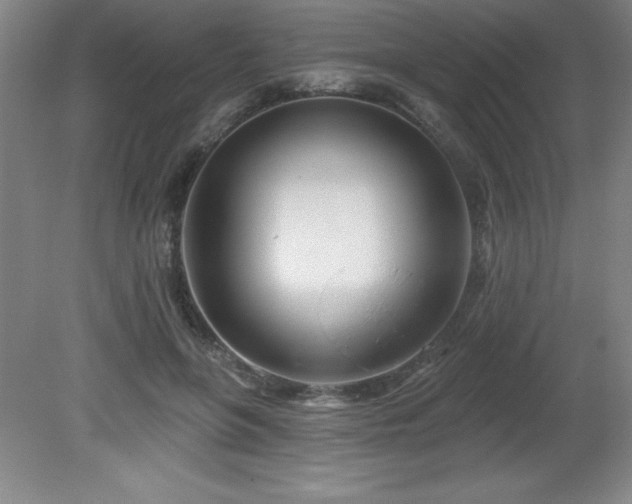 X0000082160551200701191244