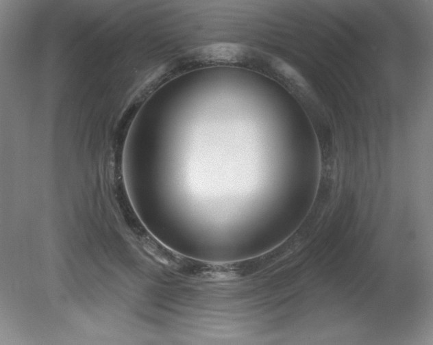 X0000082160552200701191244