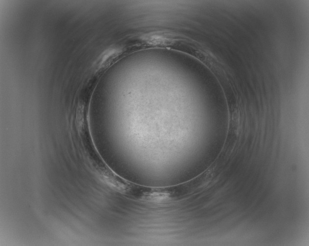 X0000082160554200701191244
