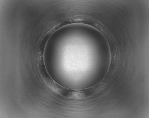 X0000082160555200701191244