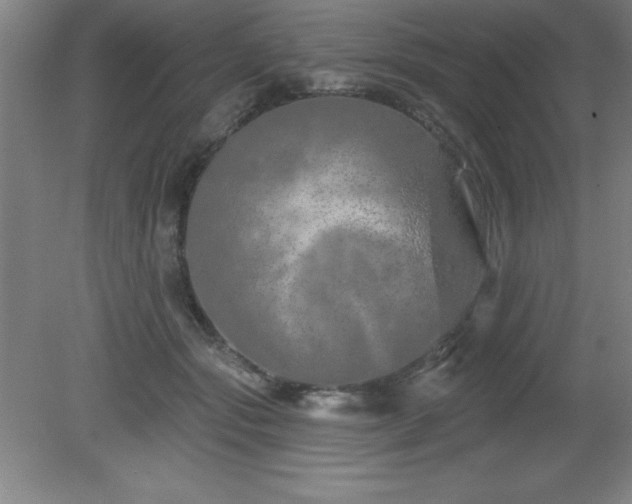 X0000082160557200701191244