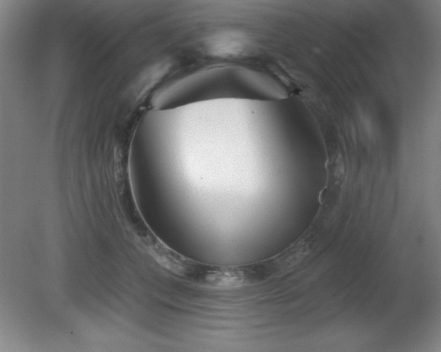 X0000082160559200701191244