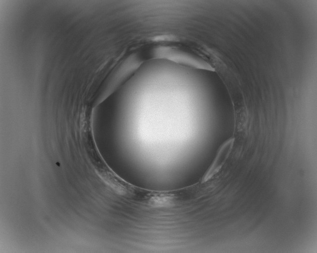 X0000082160560200701191244