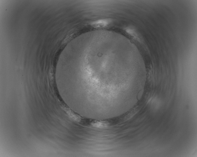 X0000082160561200701191244