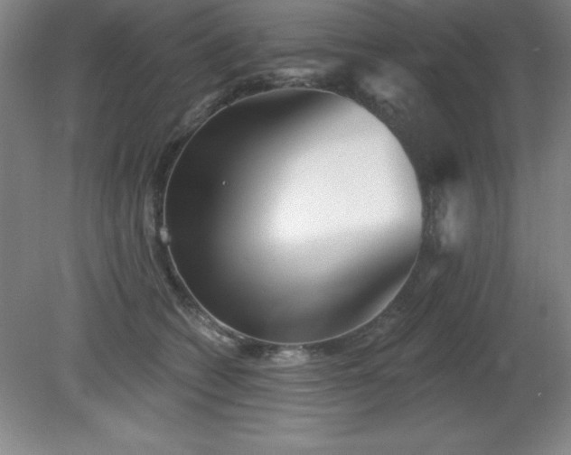 X0000082160562200701191244