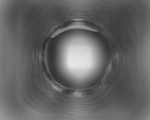 X0000082160566200701191244
