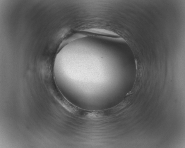 X0000082160568200701191244