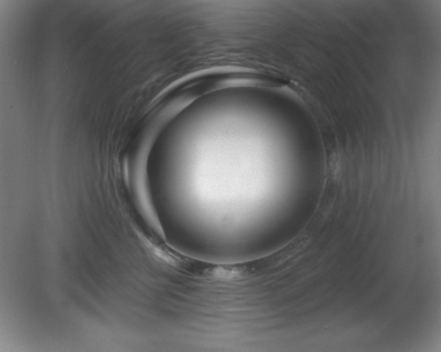 X0000082160570200701191245