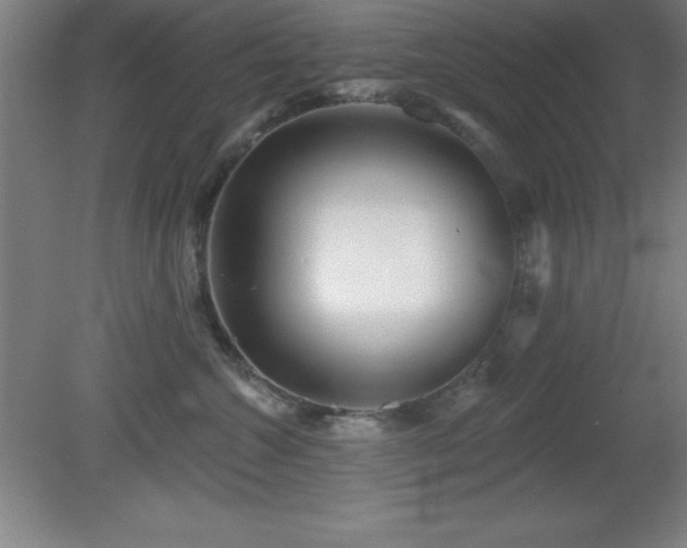 X0000082160572200701191245