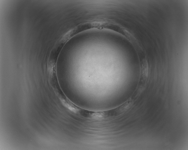 X0000082160574200701191245