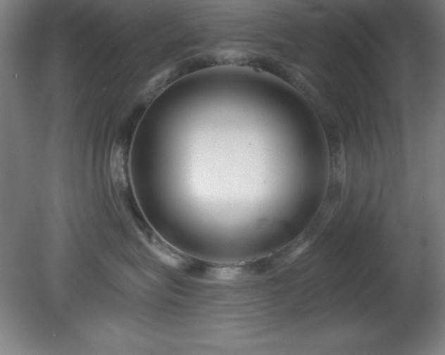 X0000082160575200701191245