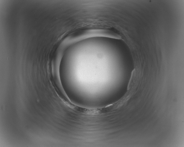 X0000082160576200701191245