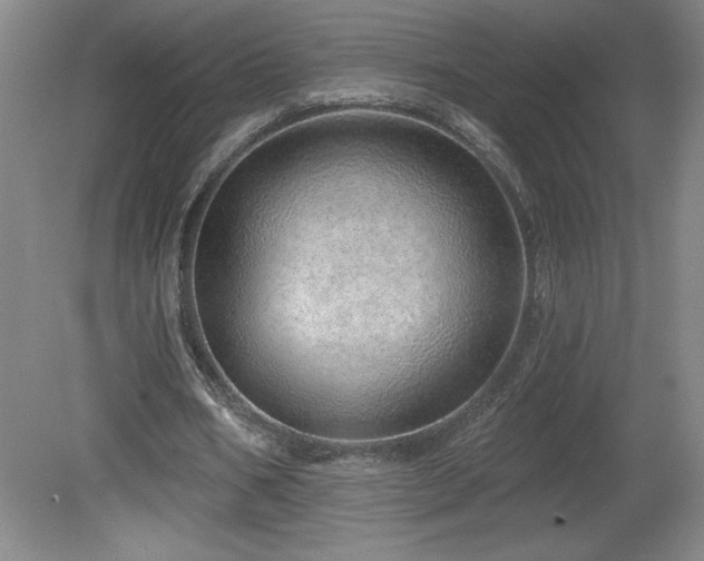 X0000082160578200701191244