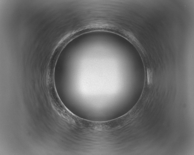 X0000082160579200701191244