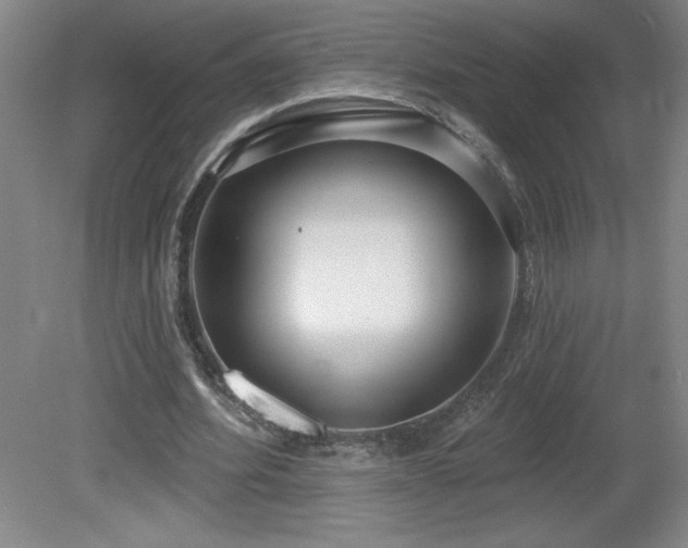 X0000082160580200701191244
