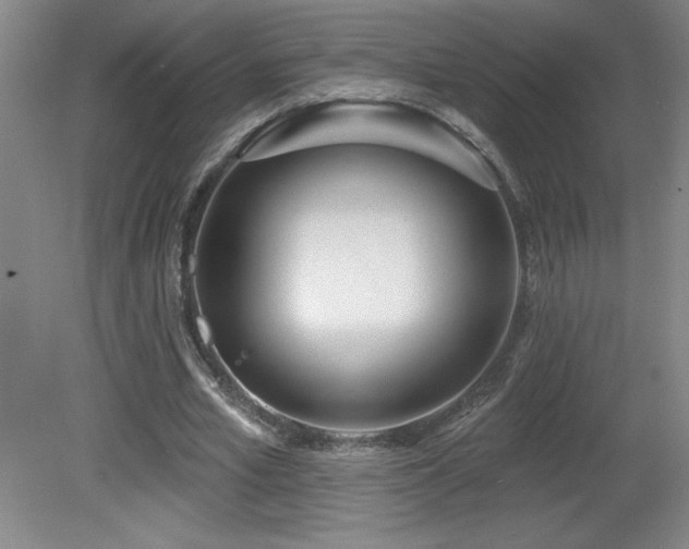 X0000082160581200701191244