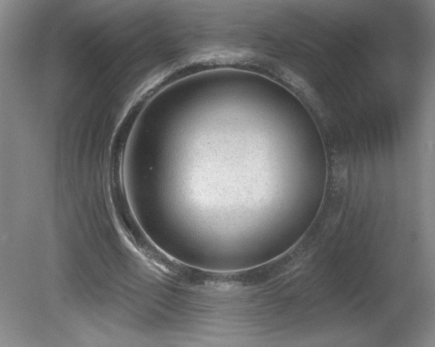 X0000082160582200701191244