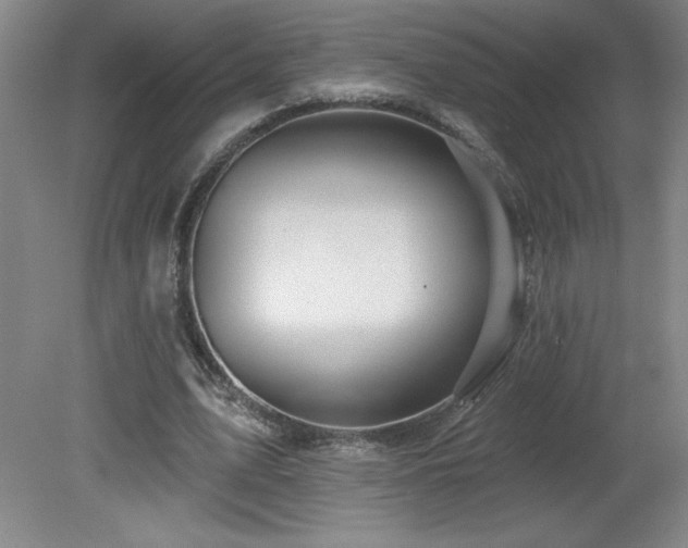 X0000082160583200701191244
