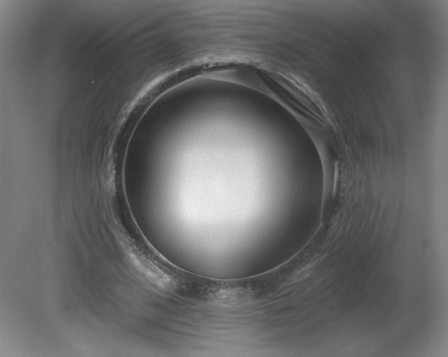 X0000082160584200701191244