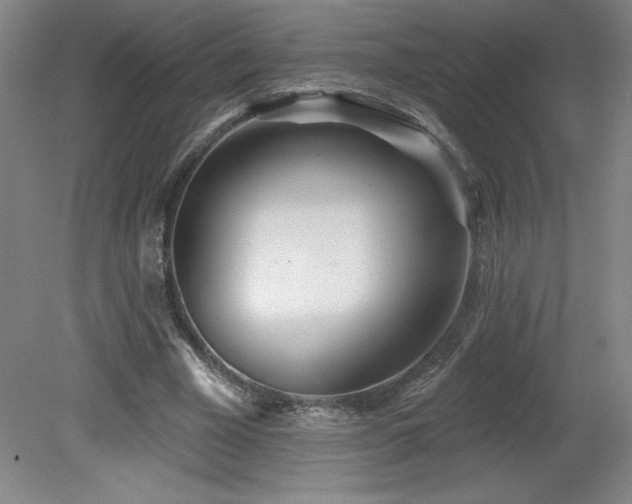X0000082160585200701191244