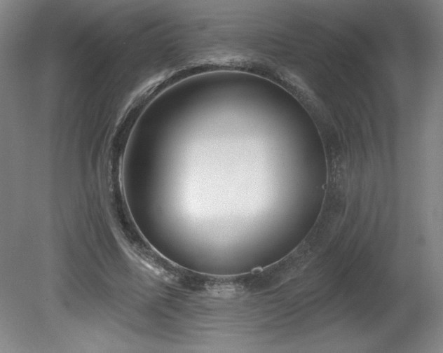 X0000082160587200701191244
