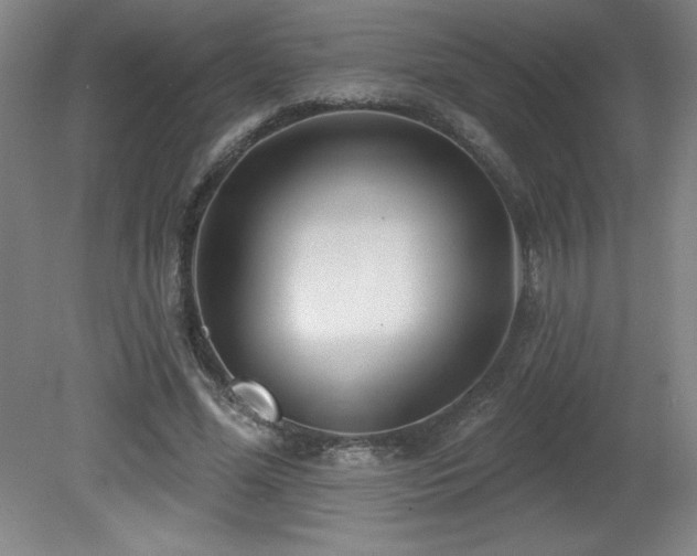 X0000082160588200701191244
