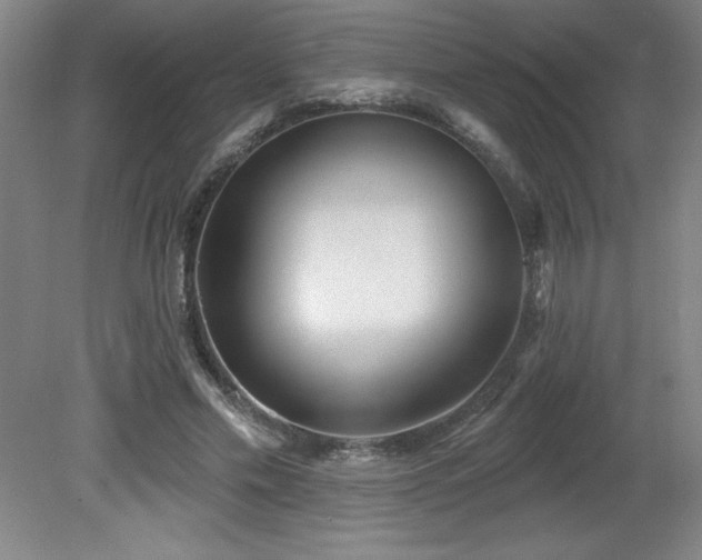 X0000082160589200701191244