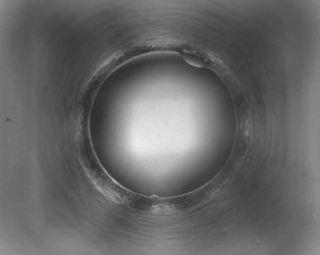 X0000082160591200701191244